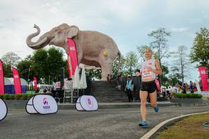 BIB: 
                            <button type="button" onclick="openModal(26529054)" class="btn btn-primary btn-sm float-right btn-popup" data-toggle="modal" data-target=".modal-high-quality">
                        <i class="fas fa-shopping-cart"></i> Add to Cart
                    </button>
                                            <button type="button" onclick="isThisMe(26529054, true)" class="btn btn-success btn-sm float-right btn-popup btn-isme hidden" data-toggle="tooltip" data-placement="bottom" title="นี่คือรูปของคุณใช่ไหม คลิกที่นี่เพื่อเอาเข้าอัลบั้ม">
                        <i class="fas fa-plus"></i> Add to album
                    </button>
                    <button type="button" onclick="isThisMe(26529054, false)" class="btn btn-warning btn-sm float-right btn-popup btn-isnotme hidden">
                        <i class="fas fa-ban"></i> Remove from album
                    </button>